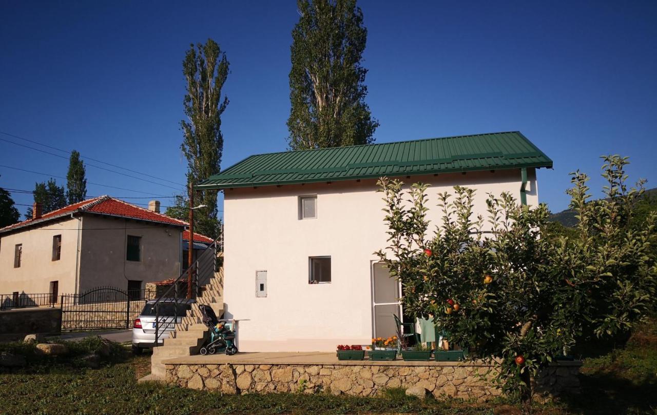 Lila Dolno Dupeni